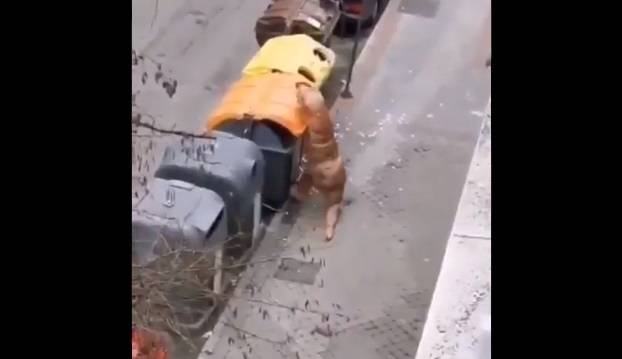 Chciał uniknąć zarażenia. Wyszedł z domu w zaskakującym stroju! [WIDEO]