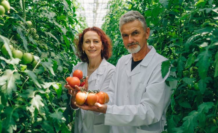 fot. shutterstock.com