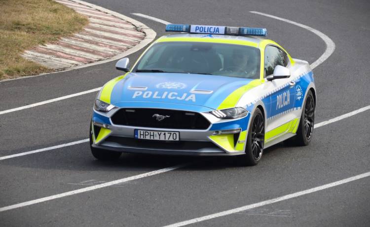 Skonfiskowany Mustang GT trafił do Policji! Teraz sportowy wóz będzie ścigał piratów drogowych, fot. Shutterstock