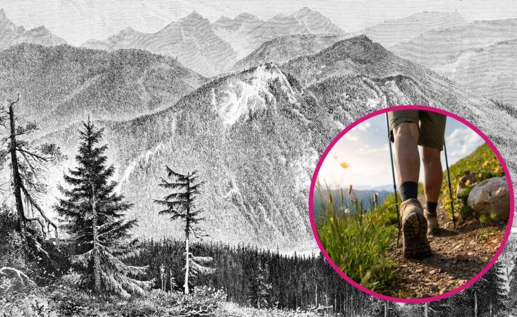 fot. shutterstock.com