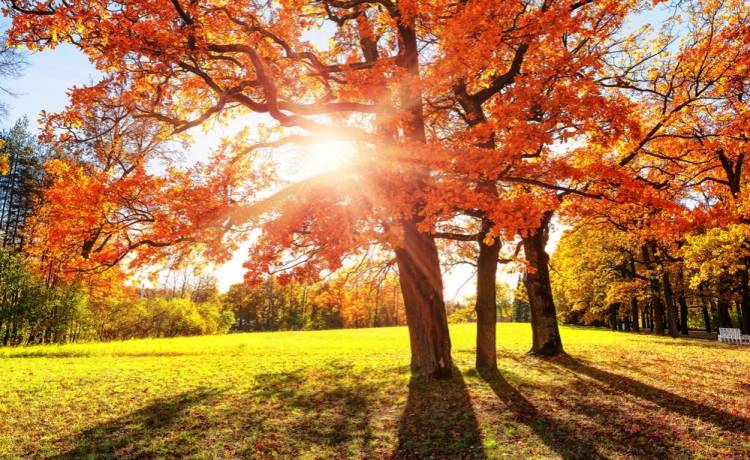 Pogoda na jesień 2025. Najnowsze prognozy IMGW dla Polski, fot. Shutterstock