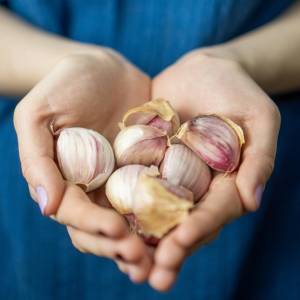 Dlatego nie wolno trzymać czosnku w lodówce. Mało kto o tym wie!