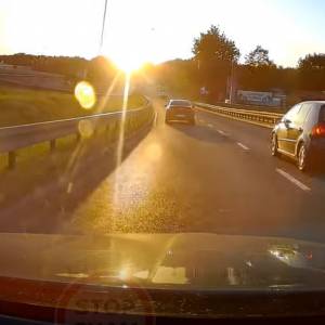 Bliskie spotkanie z jeleniem zszokowało kierowców! "Musiałem obejrzeć trzy razy" [WIDEO]