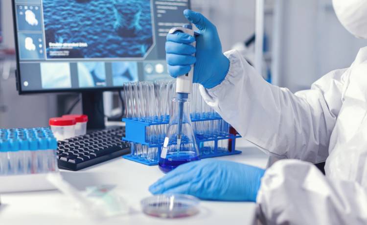 Chmara koronawirusów?! Wykryto NeoCoV. Może być niezwykle niebezpieczny dla ludzi