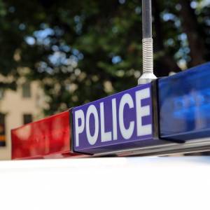 Ma tylko 3 lata i przetrwał 3 dni całkiem sam w lesie! [WIDEO]