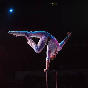 Akrobata spadł z wysokości 9 metrów. Wstrząsające sceny w cyrku 