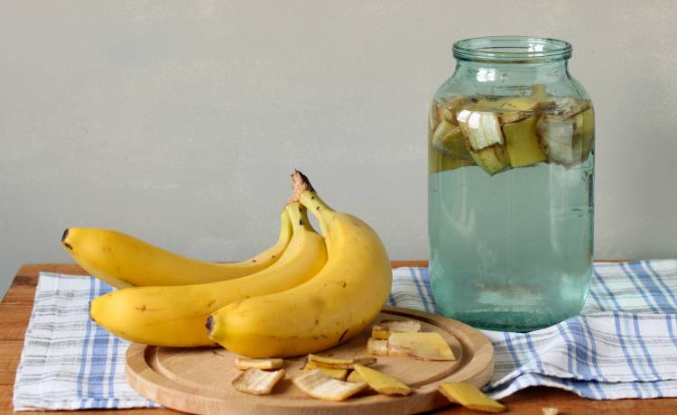 fot. shutterstock.com