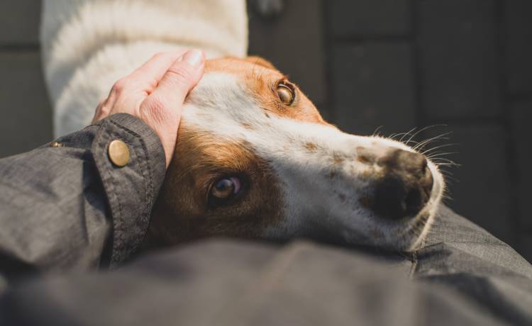 fot. shutterstock.com