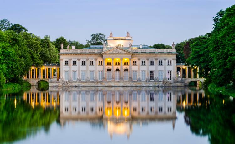Nowe tratwy dla ptaków pojawiły się w Warszawie. Zarząd Zieleni pochwalił się inwestycją