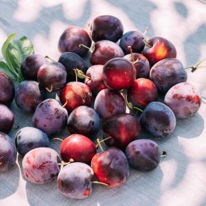 Prosty przepis na deser ze śliwkami. Wszystkie składniki masz w domu