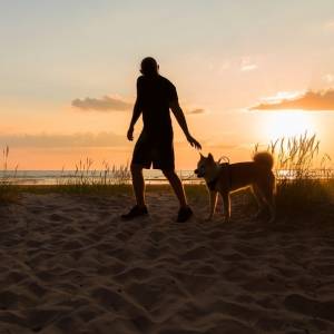 10-latek zaatakowany przez psa. Zwierzę odgryzło mu kawałek ucha 