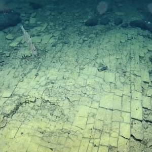 Intrygujące odkrycie na dnie Pacyfiku. Wygląda, jak "droga do mitycznej Atlantydy" [WIDEO]