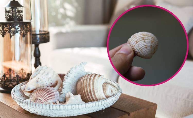 fot. shutterstock.com 