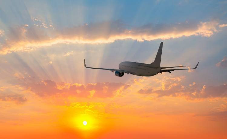 Raperka wyprowadzona przez policję. Nieodpowiedni strój na podróż samolotem?