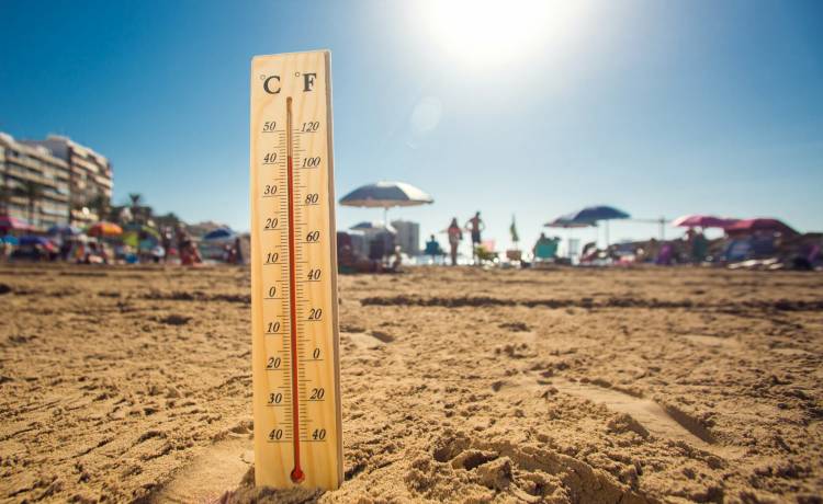 Fot. Shutterstock/aleks333