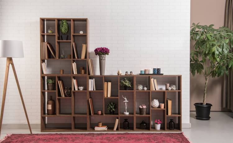 Ekologiczna półka na książki. Z jej części można złożyć również… trumnę!