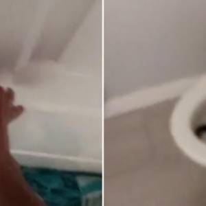 Podniosła deskę sedesową i zamarła. "Wiele osób myślało, że jest sztuczny". Wielki wąż był prawdziwy [WIDEO]