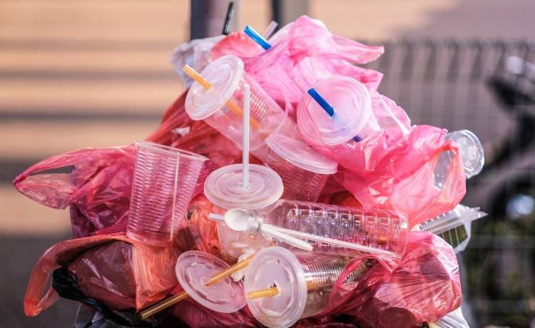 Australia. Kierowca dostał mandat za śmieci w aucie