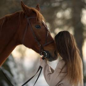 Konie wyczuwają ludzki strach? Eksperci nie pozostawiają wątpliwości