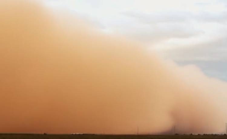 Potęga żywiołu na nagraniach. Burza piaskowa to coś naprawdę strasznego [WIDEO]