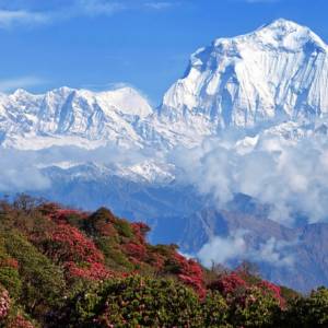 Brak zanieczyszczenia powietrza odsłonił Himalaje! "To pierwszy raz od 30 lat"!            