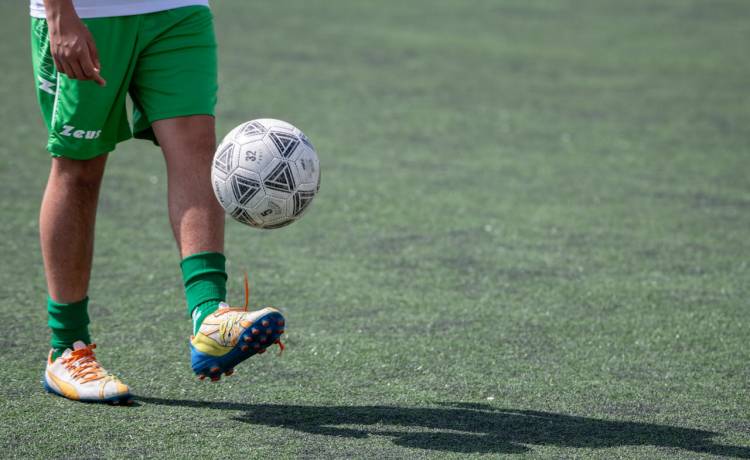 fot. shutterstock.com 