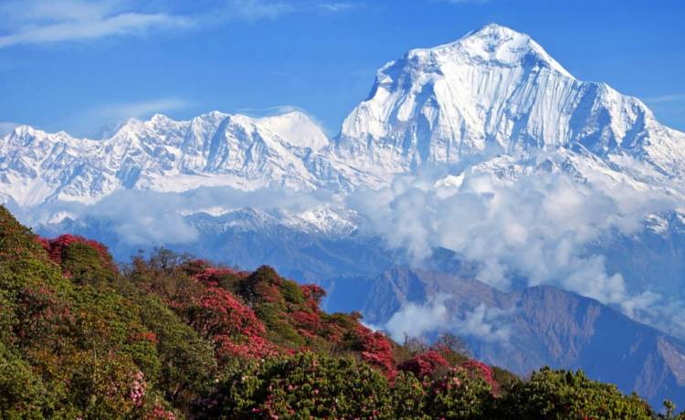 Brak zanieczyszczenia powietrza odsłonił Himalaje! "To pierwszy raz od 30 lat"!            