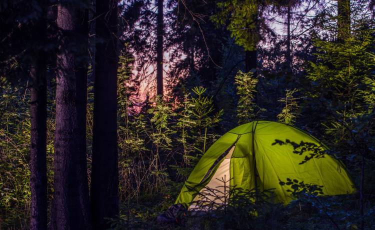 Spał pod namiotem. Rano zobaczył, że siedzi na nim to. Przerażające! [WIDEO]