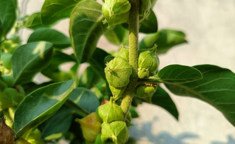 fot. shutterstock.com