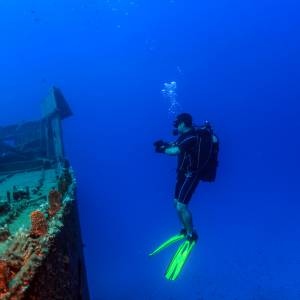 Rekin-widomo odnaleziony. Badacze przecierają oczy ze zdumienia