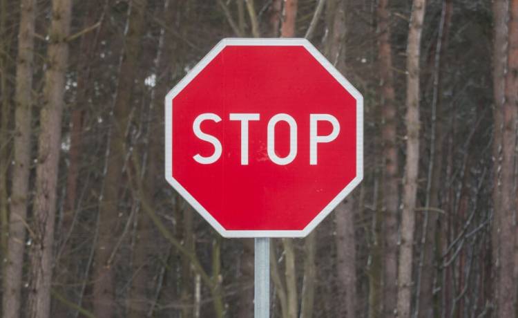 zdjęcie ilustracyjne, fot. ARKADIUSZ ZIOLEK/East News