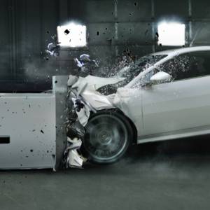 Żywe zwierzęta wykorzystywane do samochodowych crash testów. Przerażające doniesienia z Chin