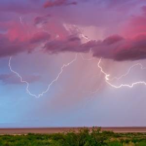 Wielką Brytanię nawiedzi "krwawy deszcz"