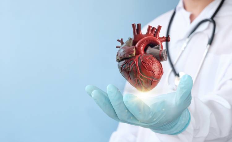 fot. shutterstock.com