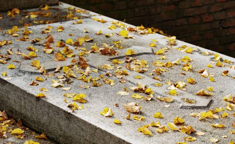 Dwa lata temu zmarła Ewa Demarczyk. Teraz trwa spór o jej pomnik. Jak wygląda grób artystki?