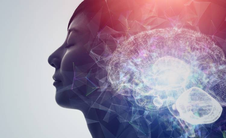 zdjęcie ilustracyjne, fot. Shutterstock/metamorworks