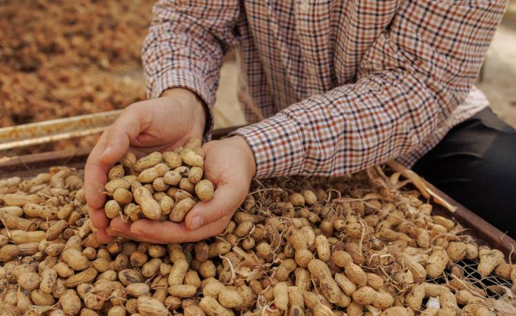 fot. materiały prasowe