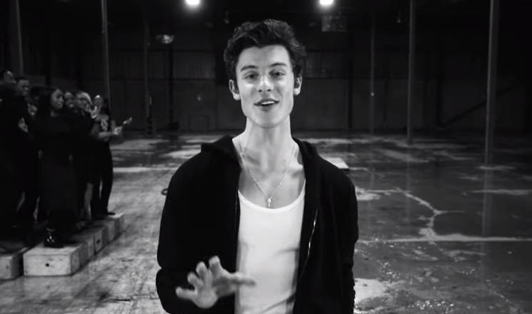 Polska wersja przeboju Shawna Mendesa? Sprawdźcie koniecznie "If I Can't Have You" [WIDEO]