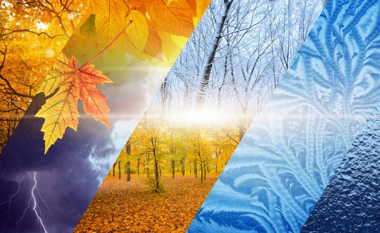 Prognoza pogody na 1 listopada. Zobacz jak się przygotować na Wszystkich Świętych 