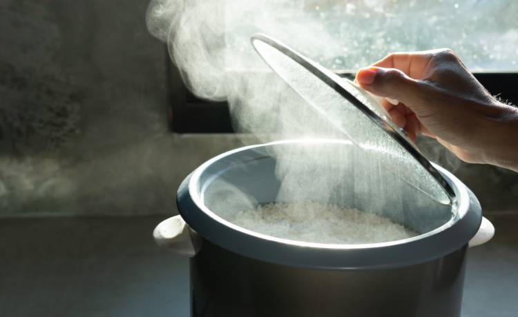 fot. shutterstock.com