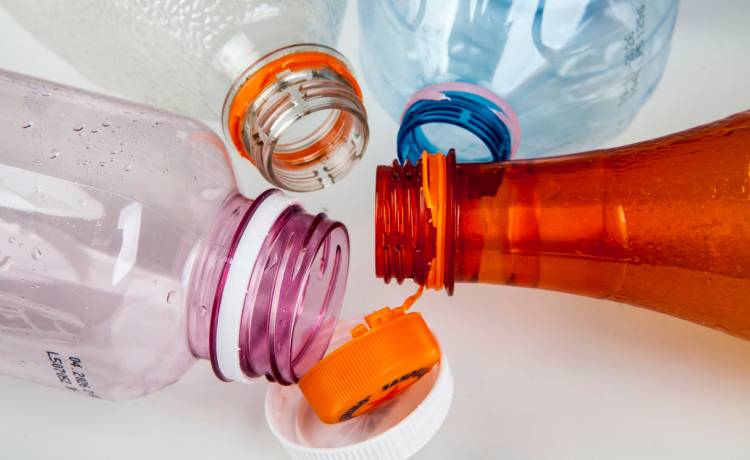 fot. Radoslaw Maciejewski/Shutterstock