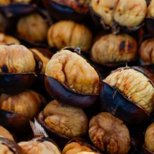 Kasztany jadalne – jesienny hit na talerzu! Jak je przyrządzić?