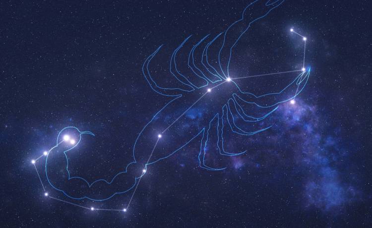 Sezon zodiakalnego Skorpiona trwa! Sprawdź, co wiemy o tym znaku zodiaku!