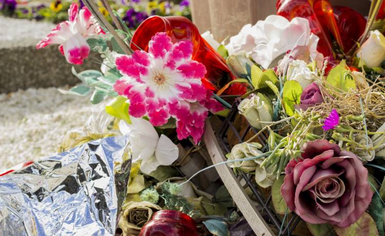 Jakie kwiaty na cmentarz? Podpowiadamy!