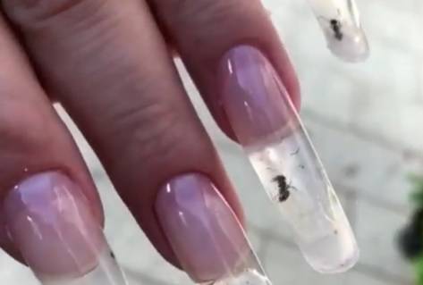 W paznokciach zamknęli... żywe mrówki. Internauci zgodni: "Ohydne i okrutne" [WIDEO]