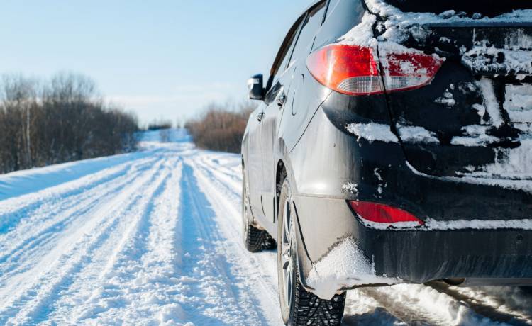 fot. materiały prasowe