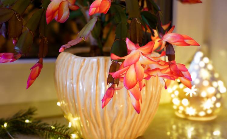 fot. shutterstock.com 