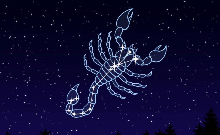 Jakie są zodiakalne Skorpiony? Właśnie rozpoczął się ich sezon!