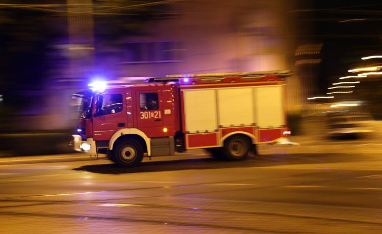 Ogromny pająk chodził po ścianie budynku. Musiała interweniować straż pożarna [FOTO]