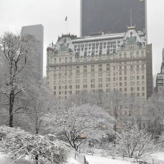 Hotel z filmu "Kevin sam w Nowym Jorku" ma dla fanów unikatową ofertę